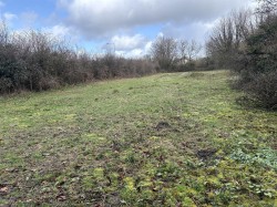 Images for Bridestowe