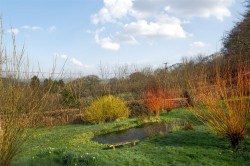 Images for Upottery, Honiton