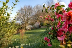 Images for Upottery, Honiton