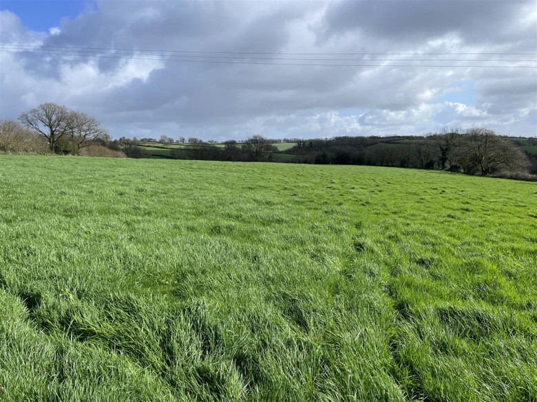 Click the photo for more details of Templeton, Tiverton