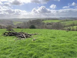 Images for Templeton, Tiverton