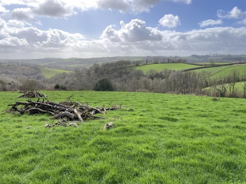 Click the photo for more details of Templeton, Tiverton