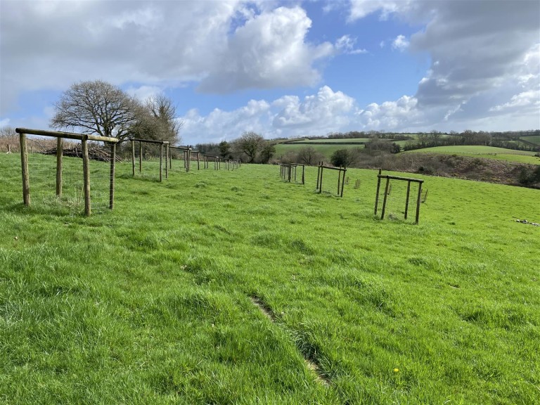 Images for Templeton, Tiverton