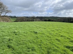 Images for Templeton, Tiverton