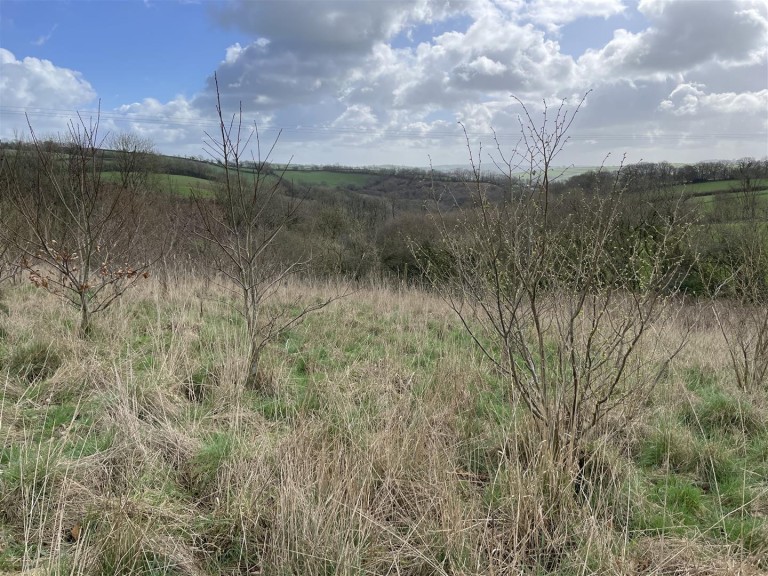 Images for Templeton, Tiverton