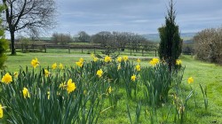 Images for Pennymoor, Tiverton