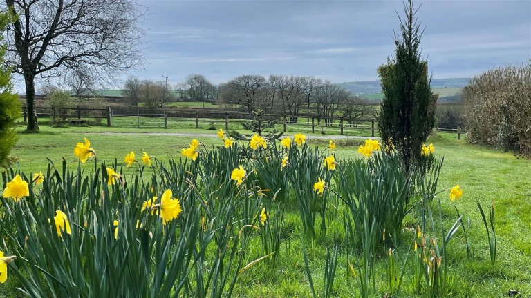 Images for Pennymoor, Tiverton