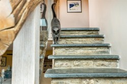 Images for Hobbs Hill, Croyde, Braunton