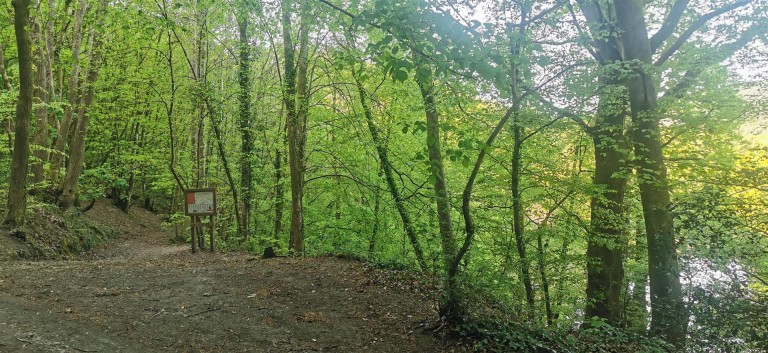 Images for Harewood, Calstock