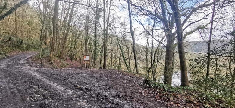 Click the photo for more details of Harewood, Calstock