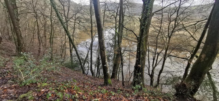 Images for Harewood, Calstock