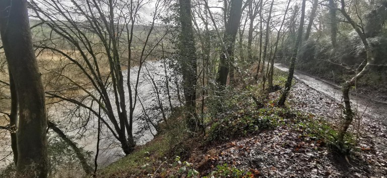 Images for Harewood, Calstock