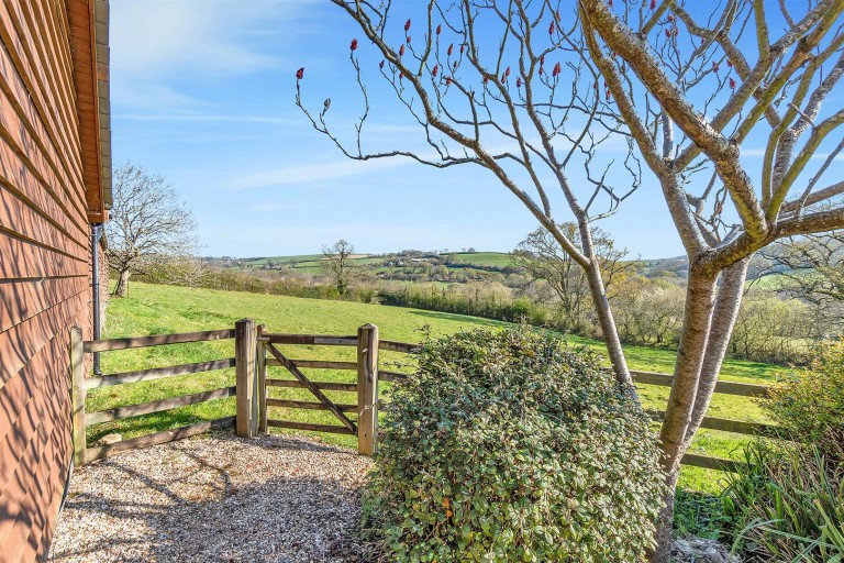 Images for Shute, Axminster