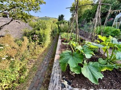 Images for Radway Hill, Bishopsteignton, Teignmouth