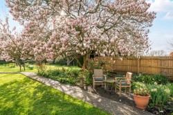 Images for Isle Brewers, Taunton