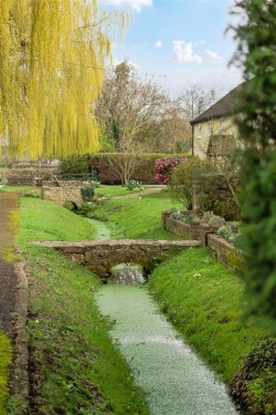 Images for Isle Brewers, Taunton