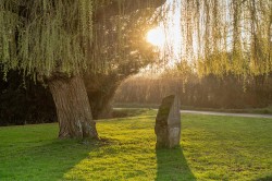 Images for Isle Brewers, Taunton