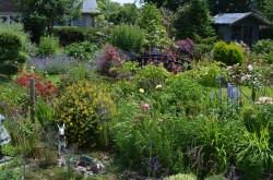 Images for Kingston, Sturminster Newton