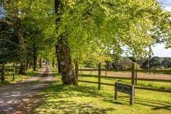 Images for Pillaton, Saltash