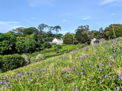 Images for Pillaton, Saltash