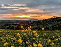 Images for Pillaton, Saltash