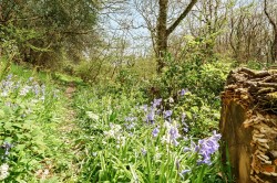 Images for Hollocombe, Chulmleigh