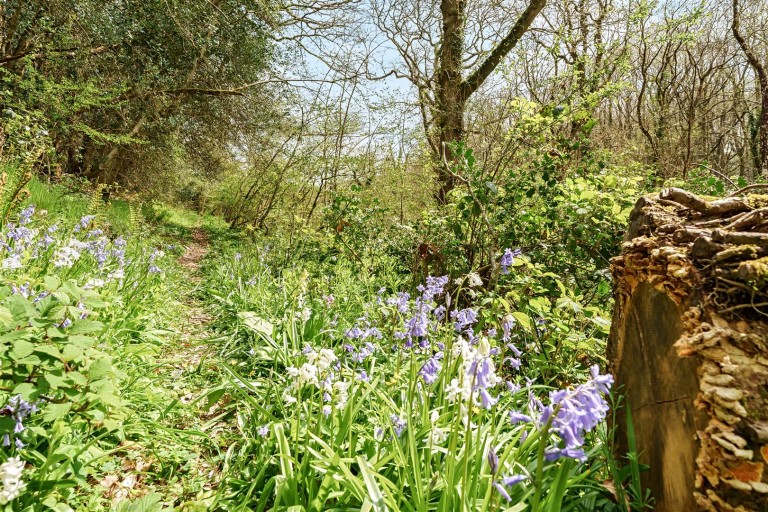 Images for Hollocombe, Chulmleigh