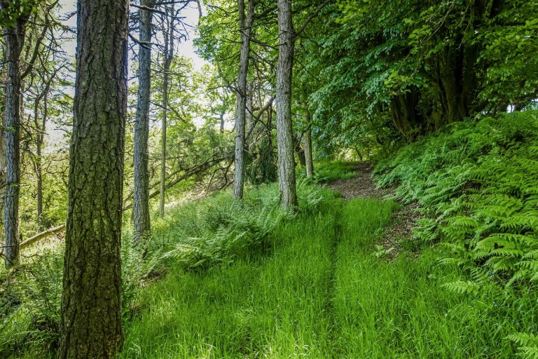 Images for Withypool, Minehead