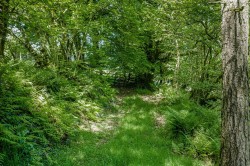 Images for Withypool, Minehead