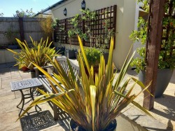 Images for Crown Street East, Poundbury, Dorchester