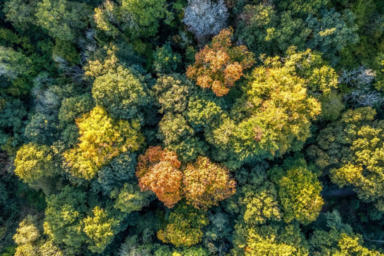 Images for Park Lane, Wayford, Crewkerne