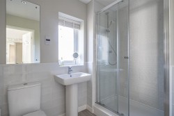 Images for Westward Ho!