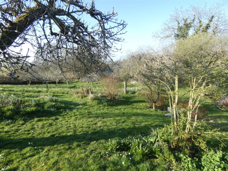 Images for Hawkcombe Lane, Twyford, Shaftesbury