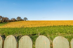 Images for Blackdown View, Ilminster