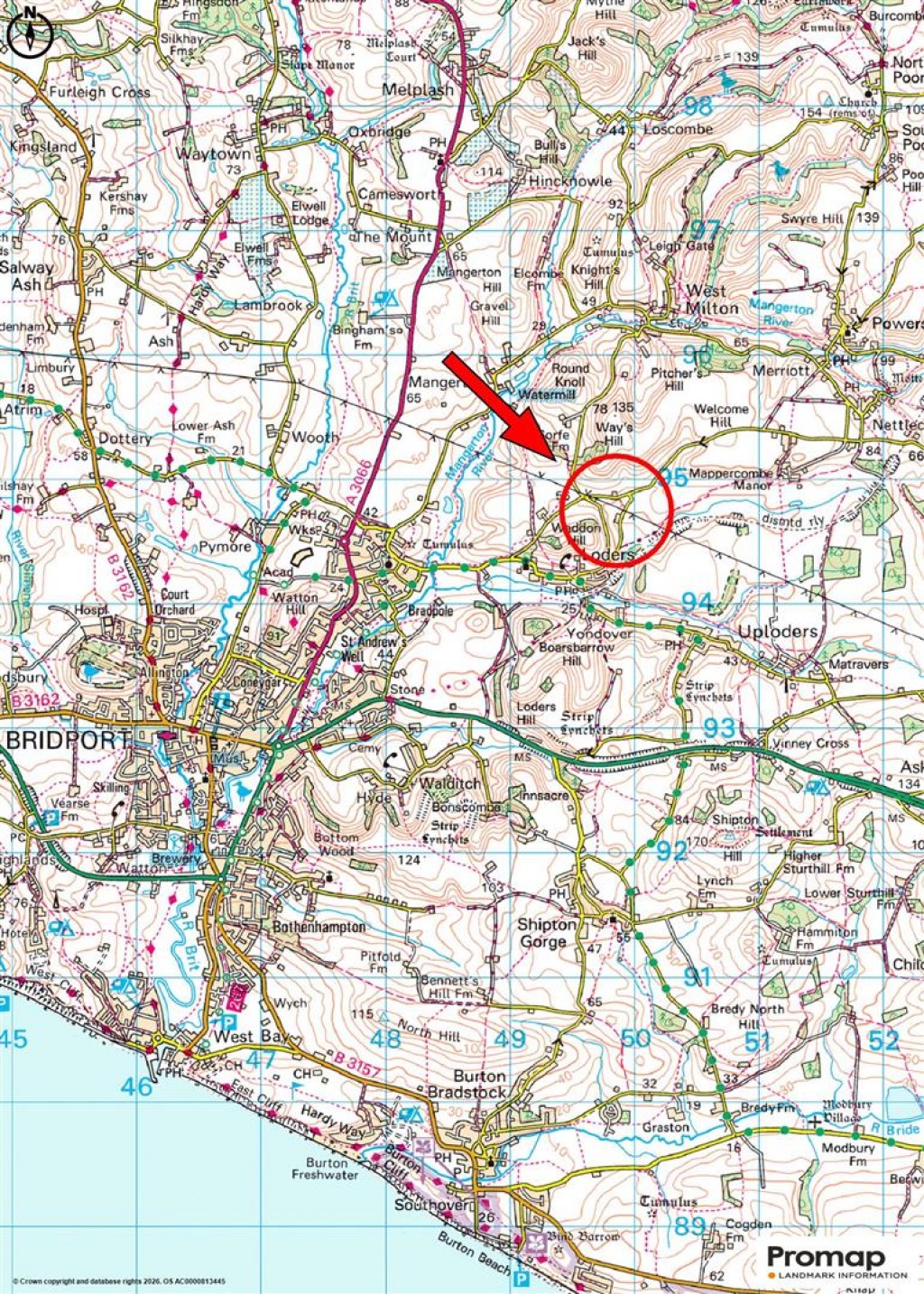 Floorplans For Loders, Bridport