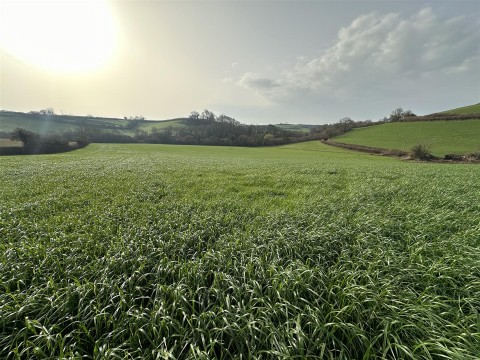 Click the photo for more details of Loders, Bridport