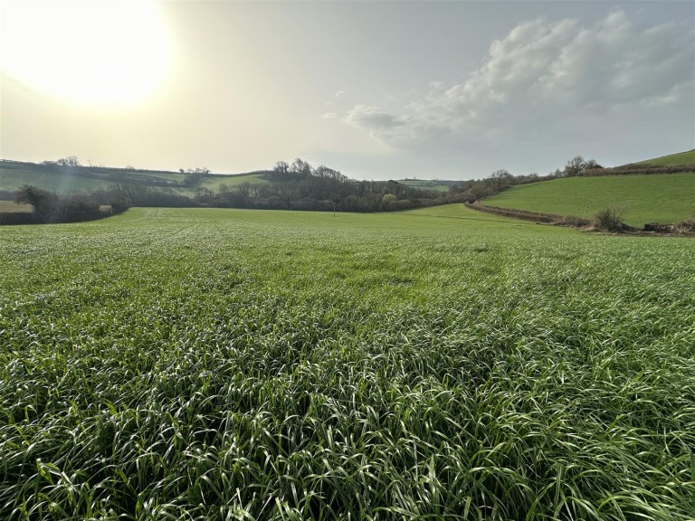 Images for Loders, Bridport