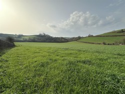 Images for Loders, Bridport