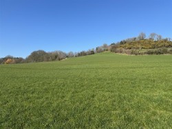 Images for Loders, Bridport