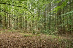 Images for Hatherleigh, Okehampton