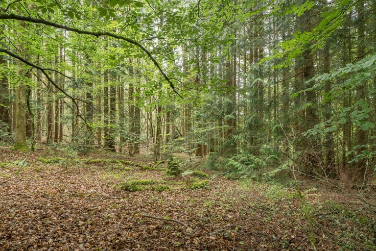 Images for Hatherleigh, Okehampton