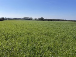 Images for Roborough, Winkleigh