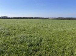 Images for Roborough, Winkleigh