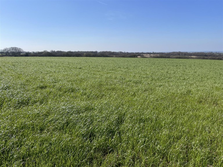 Images for Roborough, Winkleigh