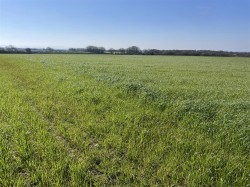 Images for Roborough, Winkleigh