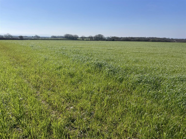 Images for Roborough, Winkleigh