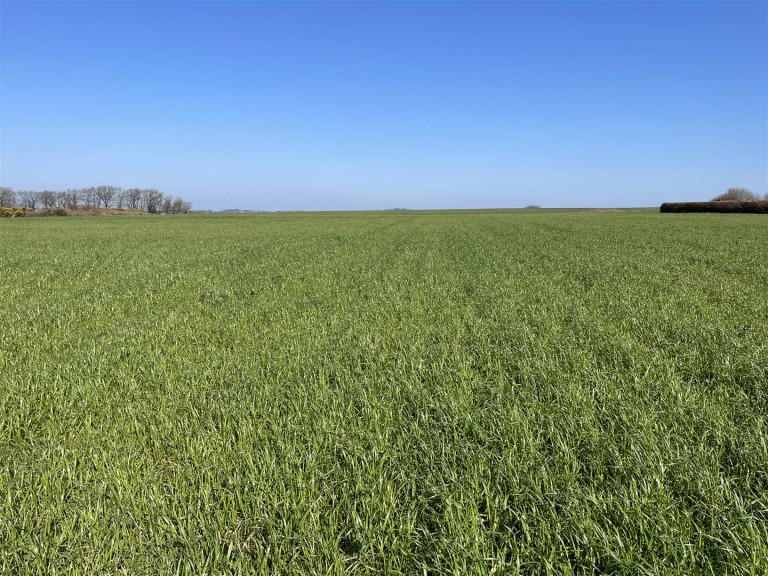 Images for Roborough, Winkleigh