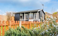 Images for Newport, Isle Of Wight