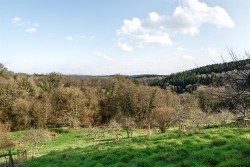 Images for Bere Peninsula, West Devon