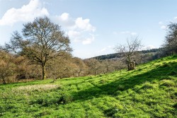 Images for Bere Peninsula, West Devon